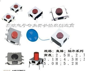 鑫皖销售按钮开关三开一关手电筒按钮开关 点动开关价格 厂家 图片